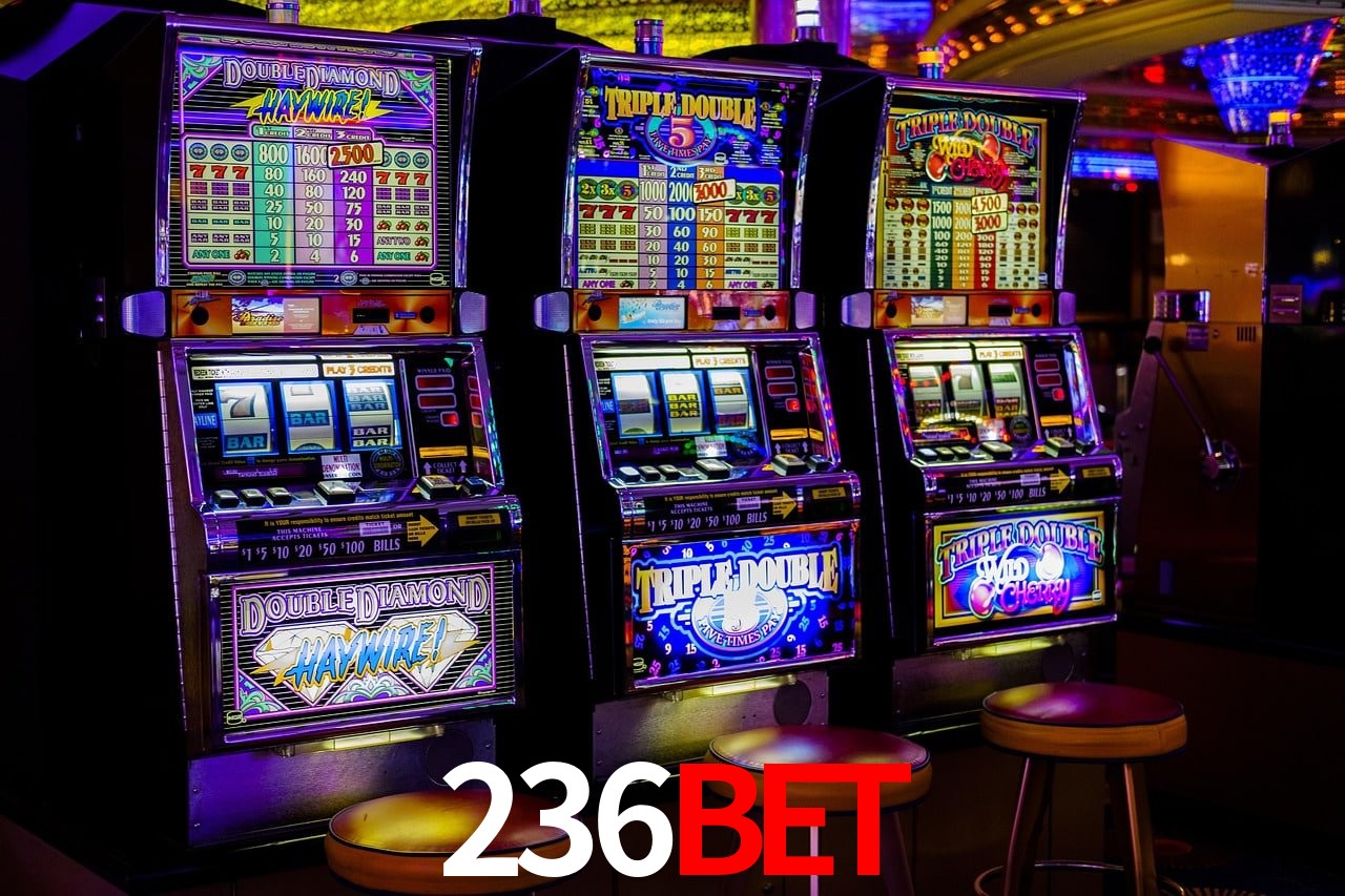 Estatísticas 236bet